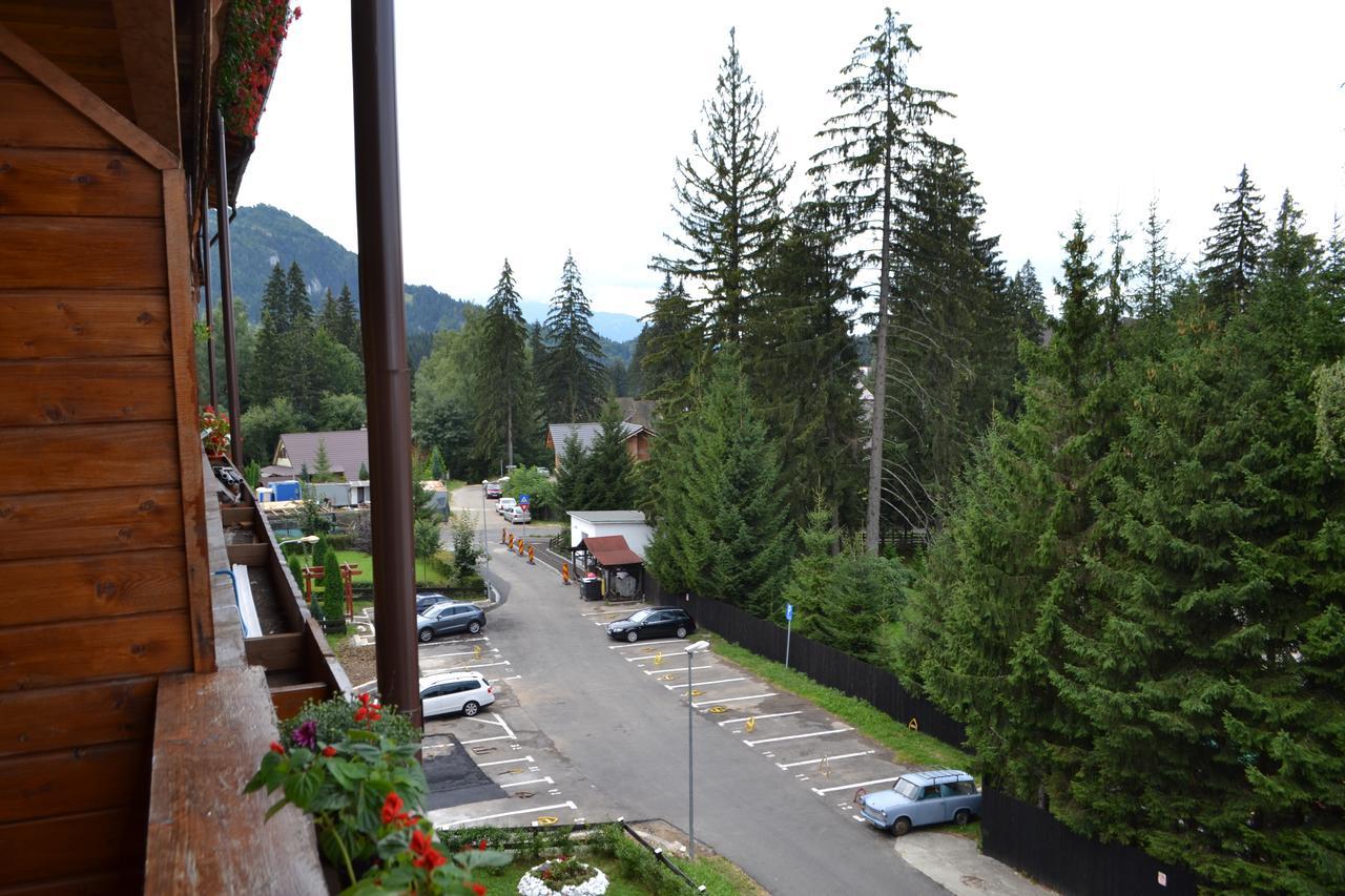 Studio Alex Poiana Brașov Exterior foto